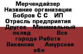 Мерчендайзер › Название организации ­ Бобров С.С., ИП › Отрасль предприятия ­ Другое › Минимальный оклад ­ 17 000 - Все города Работа » Вакансии   . Амурская обл.